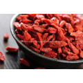 goji berry wholesale distributor